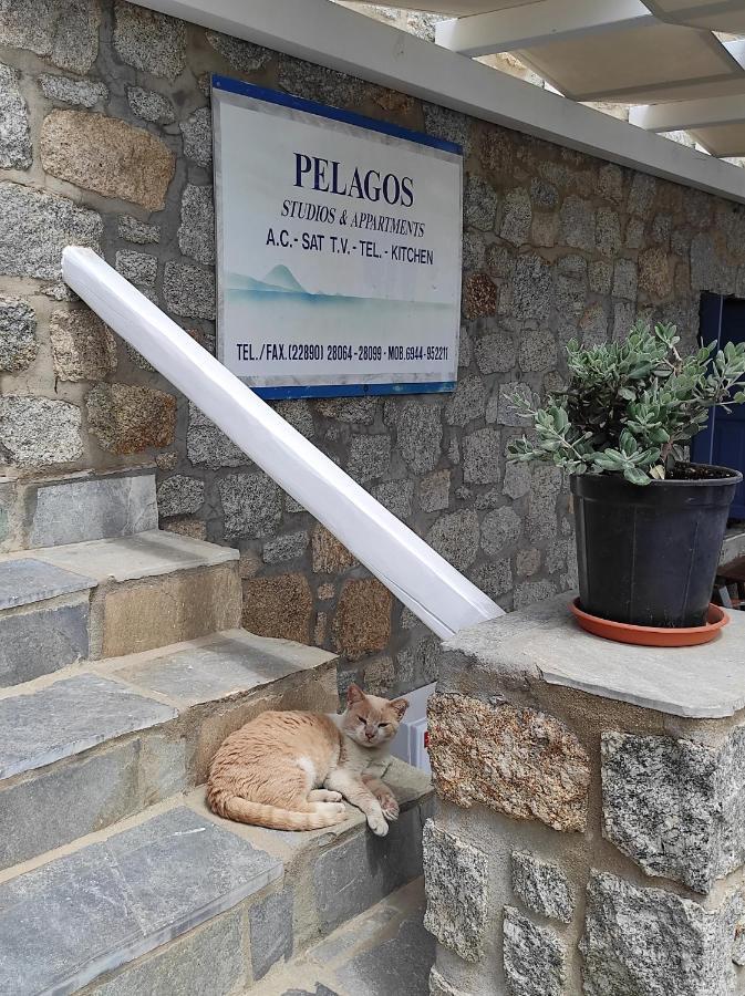 Pelagos Studios Platys Gialos  Exteriér fotografie