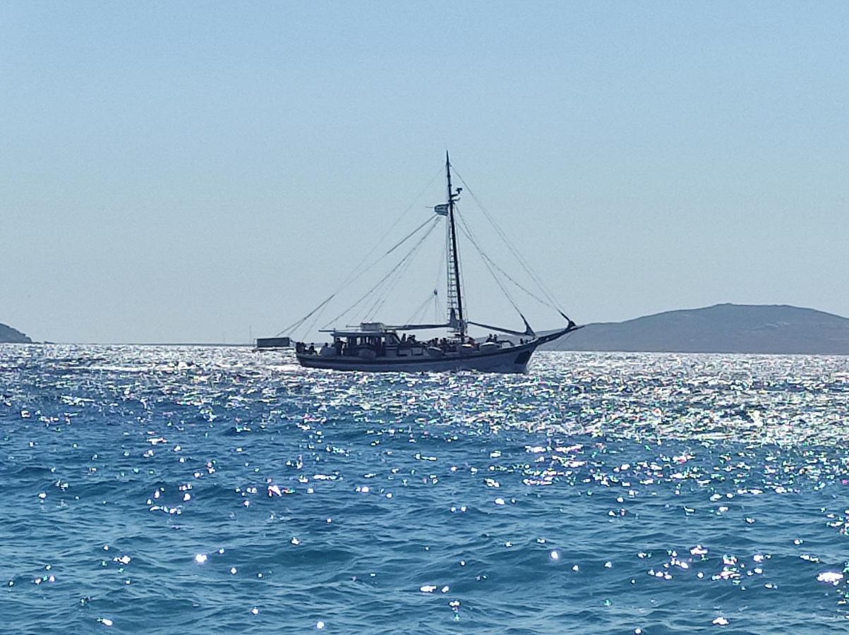 Pelagos Studios Platys Gialos  Exteriér fotografie
